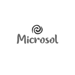 microsol-logo.png