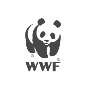 pandalogo2.png