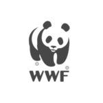 pandalogo2.png