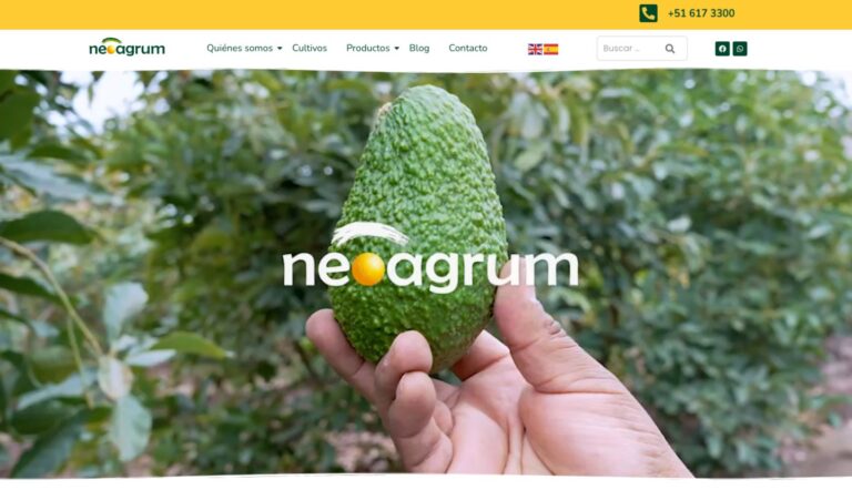 Neoagrum